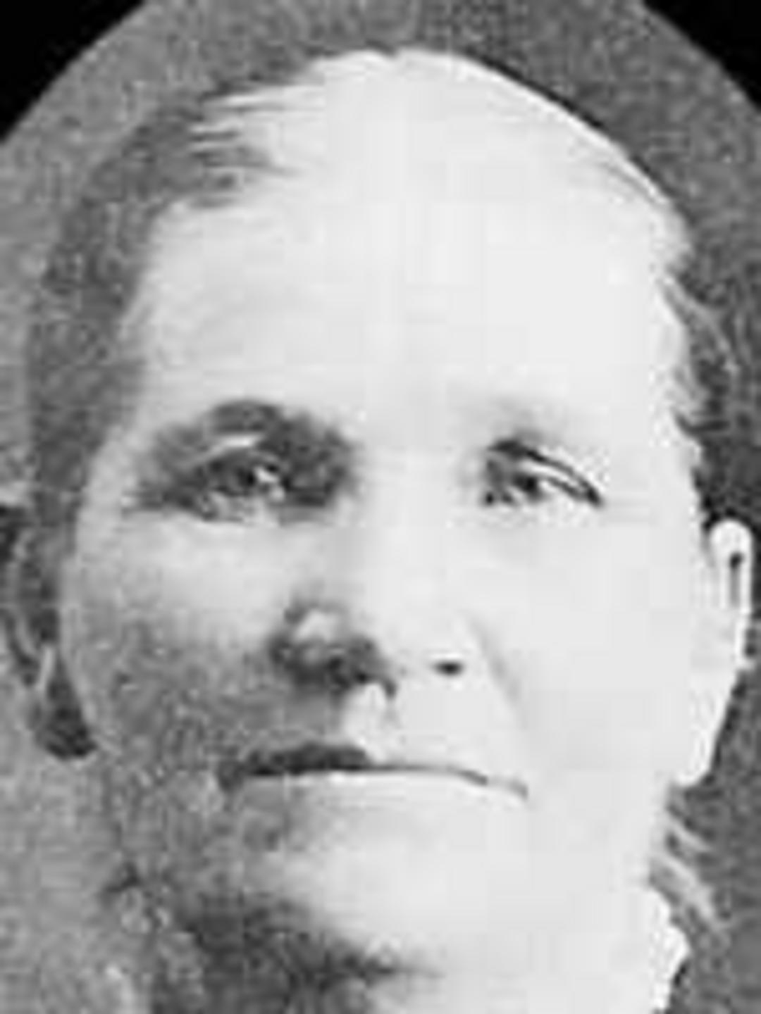 Caroline Sophia Jensen (1849 - 1923) Profile
